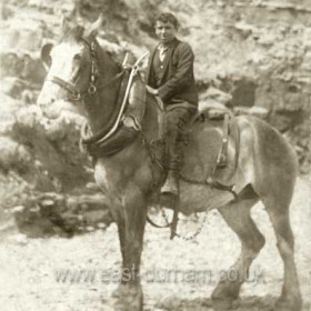 Henderson Chambers hauling sand from Seaham beach in the early 1930s