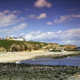 Terrace Beach in the 1980s.
Photograph Brian Angus