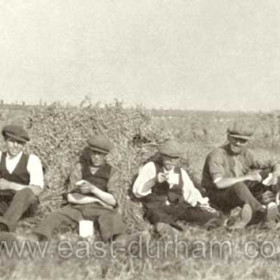 Tea-time in Snowdon's cornfield behind Doctor st 1930.