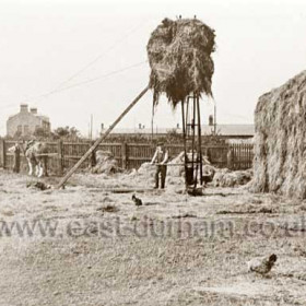 Carr House Farm with Mission House, Seaham and Stewart Streets in background, 1929Farm demolished 1936 and Ryton Cres built