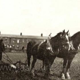 Viceroy Street 1927