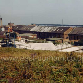 After 45 years, demolition of the pond begins in the early 90s