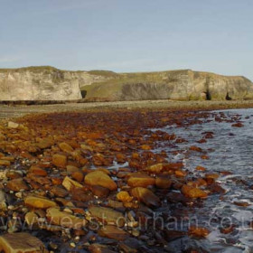 Blast Beach in Jan 2005Looking North To Noses PointPhotograph from Terry Edney