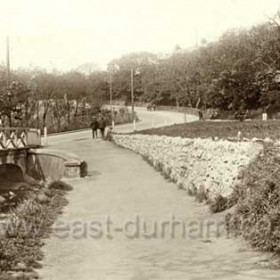 The eastern end of the Dene, Dene Bank in the distance, seating and picnic area to the right, park to the left.Photograph around  1935