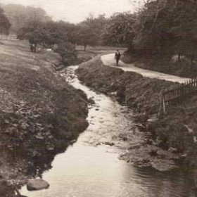 Northern end of Dene looking towards Seaham, Dene House off frame to left. c 1910.