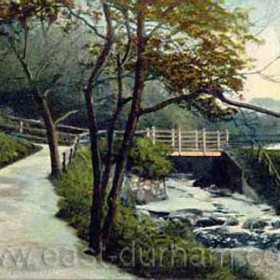 Looking from Dene House area towards stud farm and Dalton le Dale beyond c 1905.