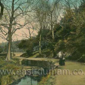 Northern end of the Dene near the stud farm, c 1900.