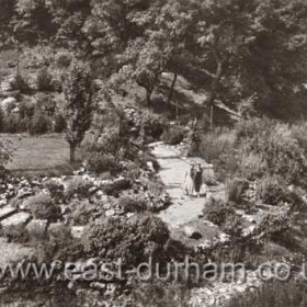 Seaham Town Park at the east end of the dene in which D le D lies. Created on 21 acres of land gifted by the 7th Marquess, the town council in their wisdom neglected to ask him to open the park in 1935.