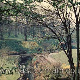 Town Park around 1960.