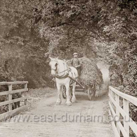 Bridge to the Jubilee Pleasure Grounds. Photograph probably around 1900