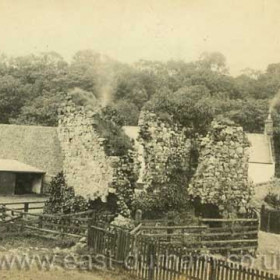 Dalden Tower photographed around 1890 with Manor House and Stud Farm behind.