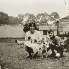 A new litter of puppies in the Stud Farm yard, date not known.