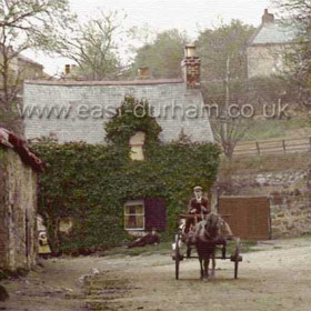 Sexton's Cottage in Dalton le Dale, Hornsby's Farm to left, Times Inn and Smithy behind. Tub traps waited here  ( 19th century taxi rank ) to carry folk from Hesledon, Murton, Hetton etc to the delights of Seaham.The name of the man driving the trap is Tom Ord.