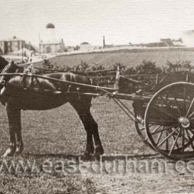 Pony and trap belonging to R J Ebden of West Farm Fulwell. Fulwell Mill in background.
N Kirtlan.