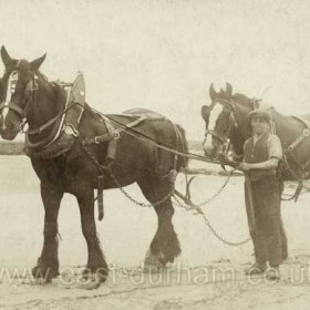 Jimmy Land hauling sand off the beach  in the early 30s
Huge amounts of sand and gravel were hauled off the beach by horse and cart for building projects, including docks, housing and collieries.