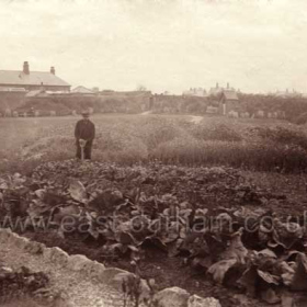 William Kirby, gardener, at work in George Young's garden at North View, North Road, Seaham. Before 1914
Photograph from William Kirby