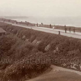 Looking north on the western side of North Road before 1914.  The eastern end of George Young's garden at the top of the dene, the real Bessie's Hole which is about 200 yards to the north of what is generally but wrongly known as Bessie's Hole.
Photograph from William Kirby