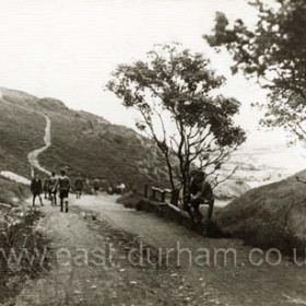 Roadway to beach at Horden c 1920.