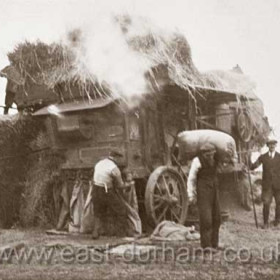 Steam driven thresher at Bulmer's Stotfold Farm in the 1930's. Herbert Bulmer 2nd from right.