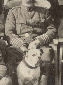 Colonel McKenzie  1911.
In 1908 the Seaham Volunteer Artillery Brigade was incorporated into the 3rd Territorial Battalion of the Northumberland Fusiliers.