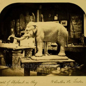 Model of Elephant for Grimshaw's Tea Rooms High St 1873
Photograph from the Fanny Pickard Collection