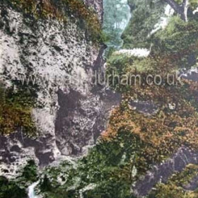 Gunners Pool, Castle Eden Dene.